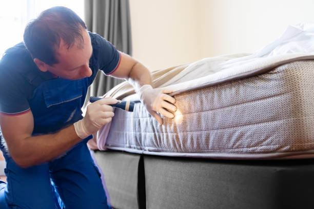 Best Fumigation Services  in Susitna North, AK